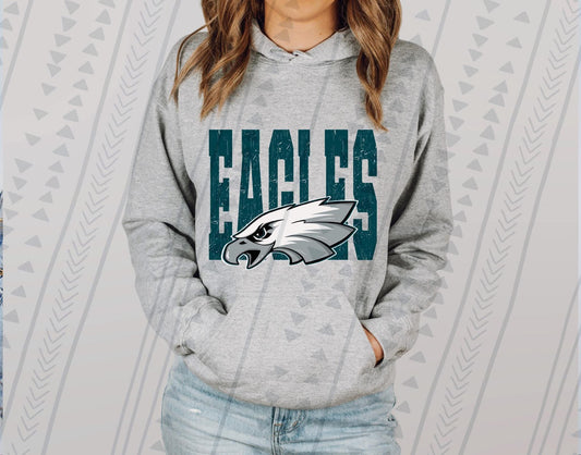 Superbowl 2025 -- Philadelphia 15