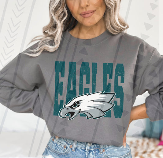 Superbowl 2025 -- Philadelphia 6