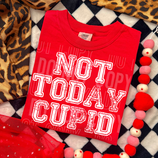 Valentine's Day 2026 ~ Not today cupid
