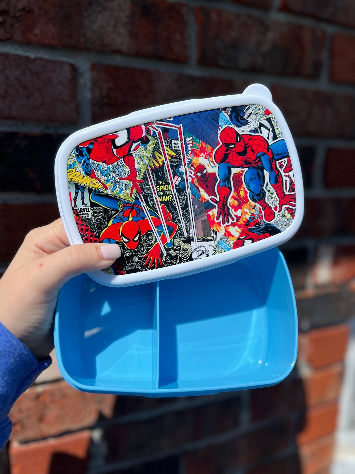 Reusable Lunch Container