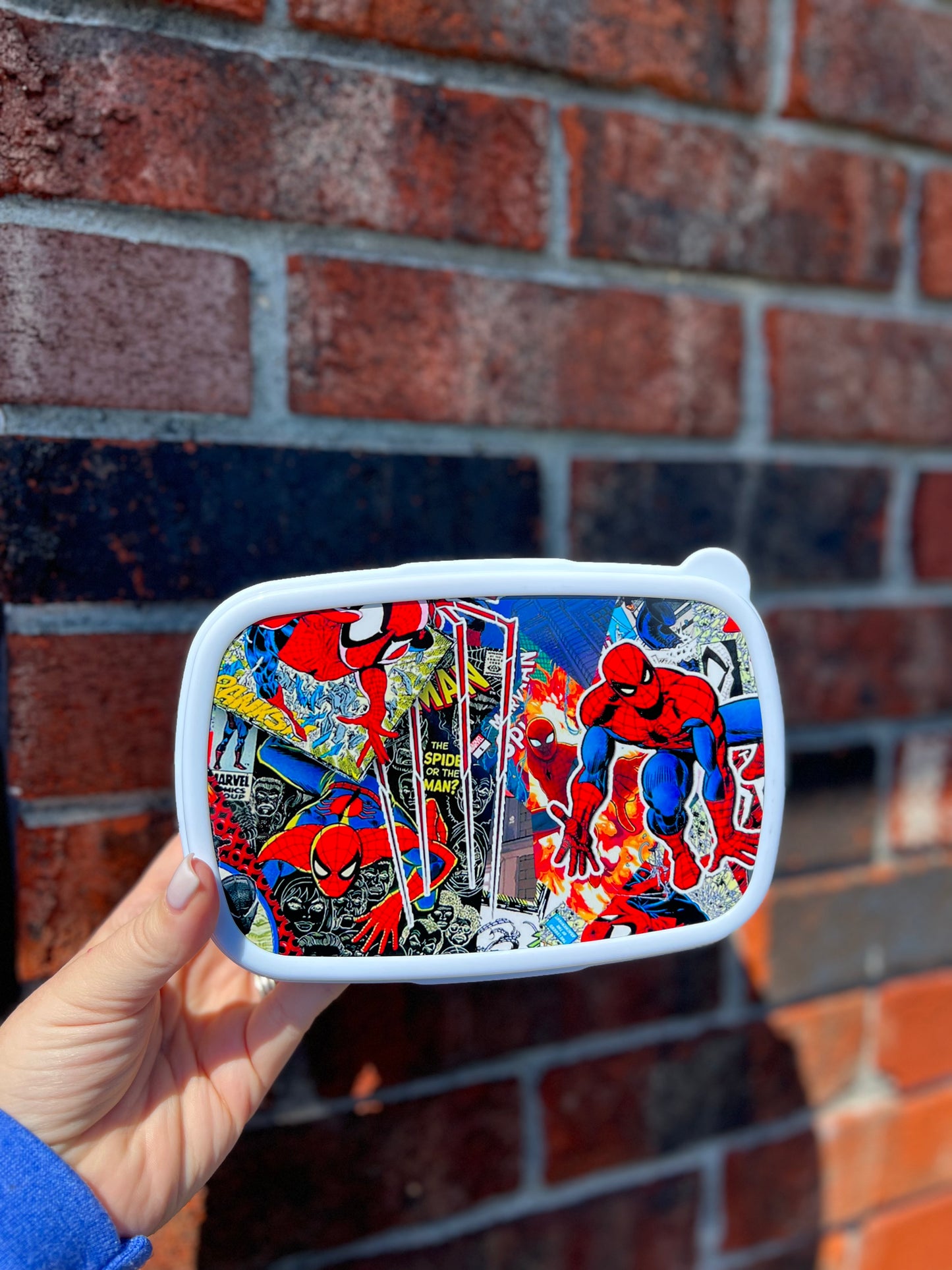 Reusable Lunch Container